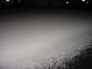 Nature's ice maker dusted the garage!