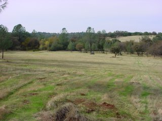 Land near Grass Valley, looking down hill