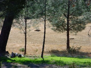 The 'lawn' as seen from where the house will be