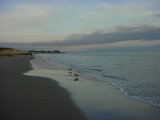 Picture #14